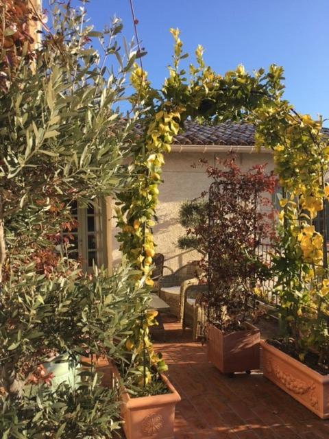 Domaine Le Bois Des Dames Bed & Breakfast Chantemerle-les-Grignan Bagian luar foto