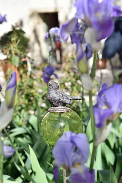 Domaine Le Bois Des Dames Bed & Breakfast Chantemerle-les-Grignan Bagian luar foto