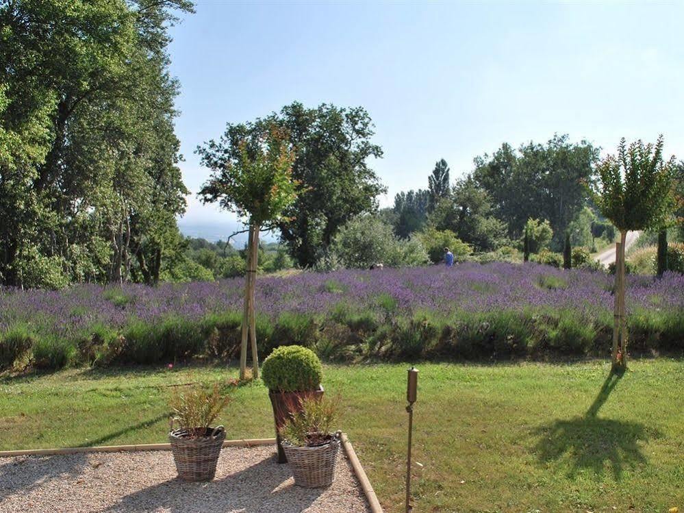 Domaine Le Bois Des Dames Bed & Breakfast Chantemerle-les-Grignan Bagian luar foto